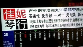 九江市柴桑区第一小学 八里湖新区第一小学 濂溪区第一小学 九江小学 中学 双峰小学 龙山小学 东风小学 柴桑小学 五里小学 东湖学校 暑假安排学吉他 学区划分